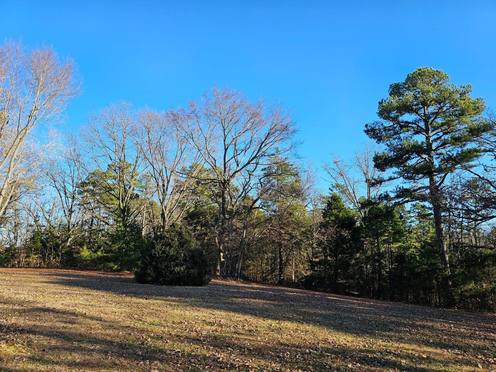5 Min To Beaver Lake-King Bed-Fire Pit-Jetted Tub #2 Eureka Springs Εξωτερικό φωτογραφία